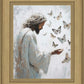Delicate Wings