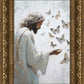 Delicate Wings