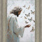 Delicate Wings