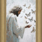 Delicate Wings