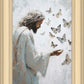 Delicate Wings
