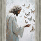 Delicate Wings
