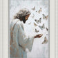 Delicate Wings