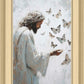 Delicate Wings
