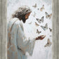 Delicate Wings