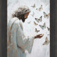 Delicate Wings