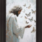 Delicate Wings
