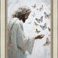 Delicate Wings