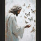 Delicate Wings