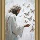 Delicate Wings
