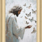Delicate Wings