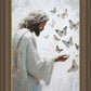 Delicate Wings