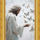Delicate Wings