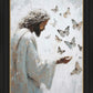 Delicate Wings