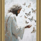 Delicate Wings