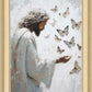 Delicate Wings