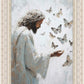 Delicate Wings