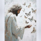 Delicate Wings