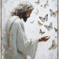 Delicate Wings