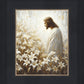 Consider The Lilies