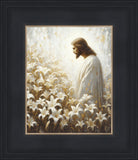 Consider The Lilies