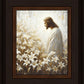 Consider The Lilies