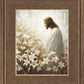 Consider The Lilies