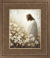 Consider The Lilies