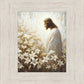 Consider The Lilies
