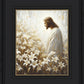 Consider The Lilies