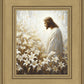 Consider The Lilies