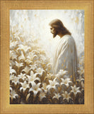 Consider The Lilies