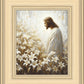 Consider The Lilies