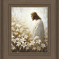 Consider The Lilies
