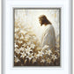 Consider The Lilies