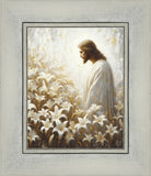 Consider The Lilies