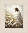 Consider The Lilies