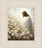 Consider The Lilies