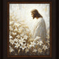 Consider The Lilies