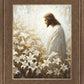 Consider The Lilies