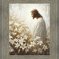 Consider The Lilies