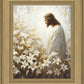 Consider The Lilies