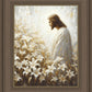 Consider The Lilies