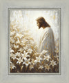 Consider The Lilies