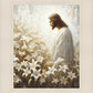 Consider The Lilies