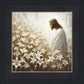 Consider The Lilies