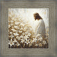 Consider The Lilies