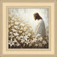 Consider The Lilies