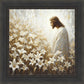 Consider The Lilies