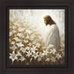 Consider The Lilies